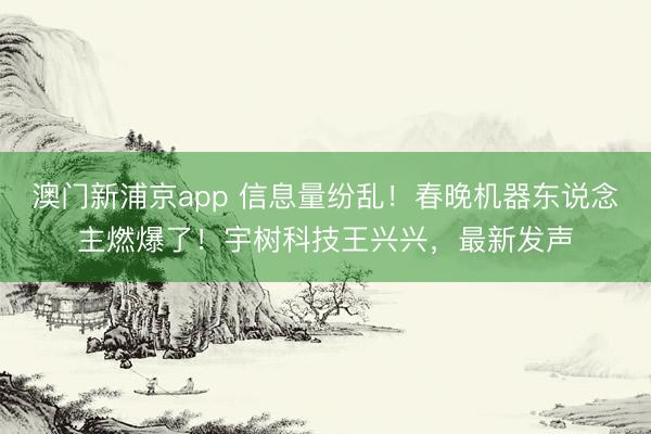 澳门新浦京app 信息量纷乱！春晚机器东说念主燃爆了！宇树科技王兴兴，最新发声
