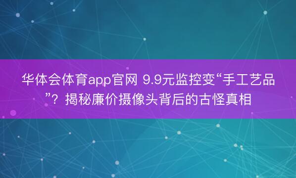 华体会体育app官网 9.9元监控变“手工艺品”？揭秘廉价摄像头背后的古怪真相