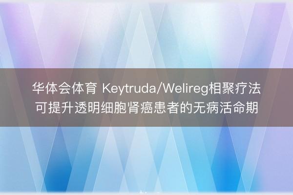 华体会体育 Keytruda/Welireg相聚疗法可提升透明细胞肾癌患者的无病活命期